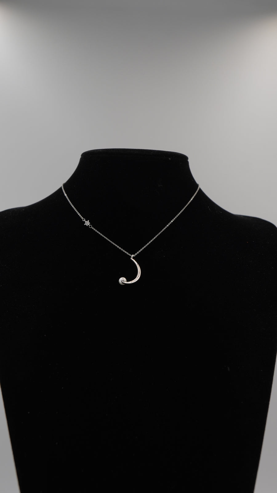 Ay Yıldız İnci Detaylı VIP Çelik Kolye