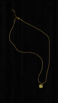 Aventurin Taşlı Çelik Kolye